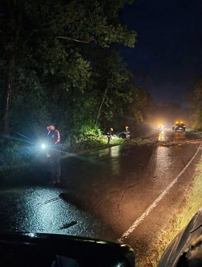 Tras el temporal en Misiones, la Policía realizó más de 70 intervenciones de emergencia 1 2 - Tras el temporal en Misiones la Policia realizo mas de 70 intervenciones de emergencia 1 - 1