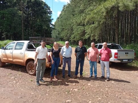 camino anlternativo