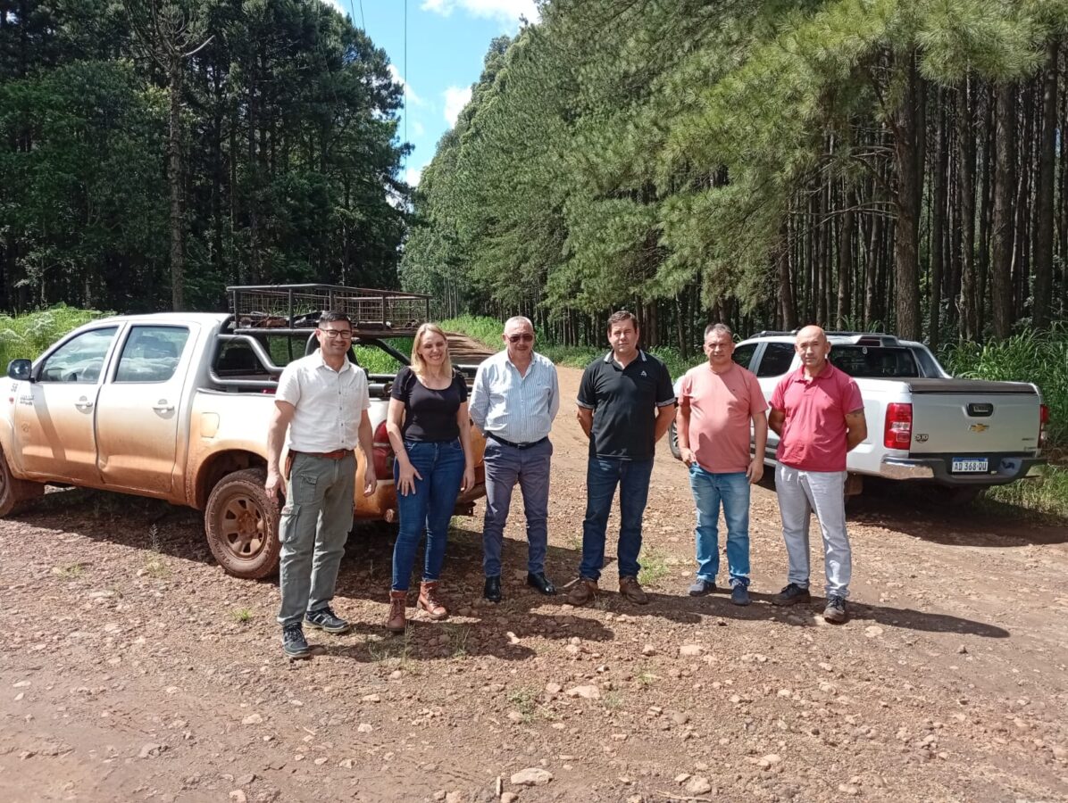 camino anlternativo