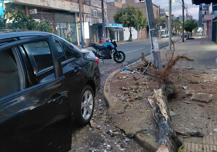 Chocó contra un poste y un árbol en el centro Posadas tras presuntamente quedarse dormido al volante 1 2 - choqueposadas - 1