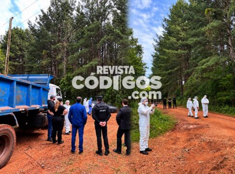 Un adolescente de 15 años murió atropellado en San José y detuvieron al conductor que escapó 2 3 - Horror en Los Helechos: una pareja fue hallada sin vida y su hijo dormía en el auto