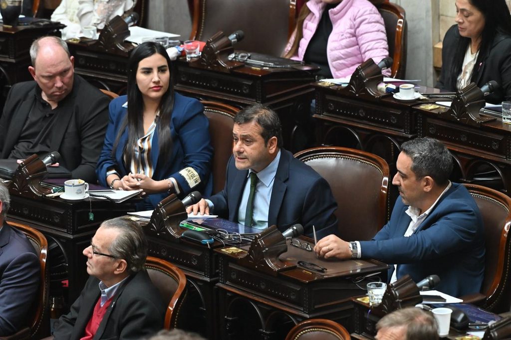Herrera Ahuad, el articulador clave en Diputados: Misiones logró consensuar la nueva Ley de Discapacidad 4 8 - herrera sesion discapacidad1 - 7
