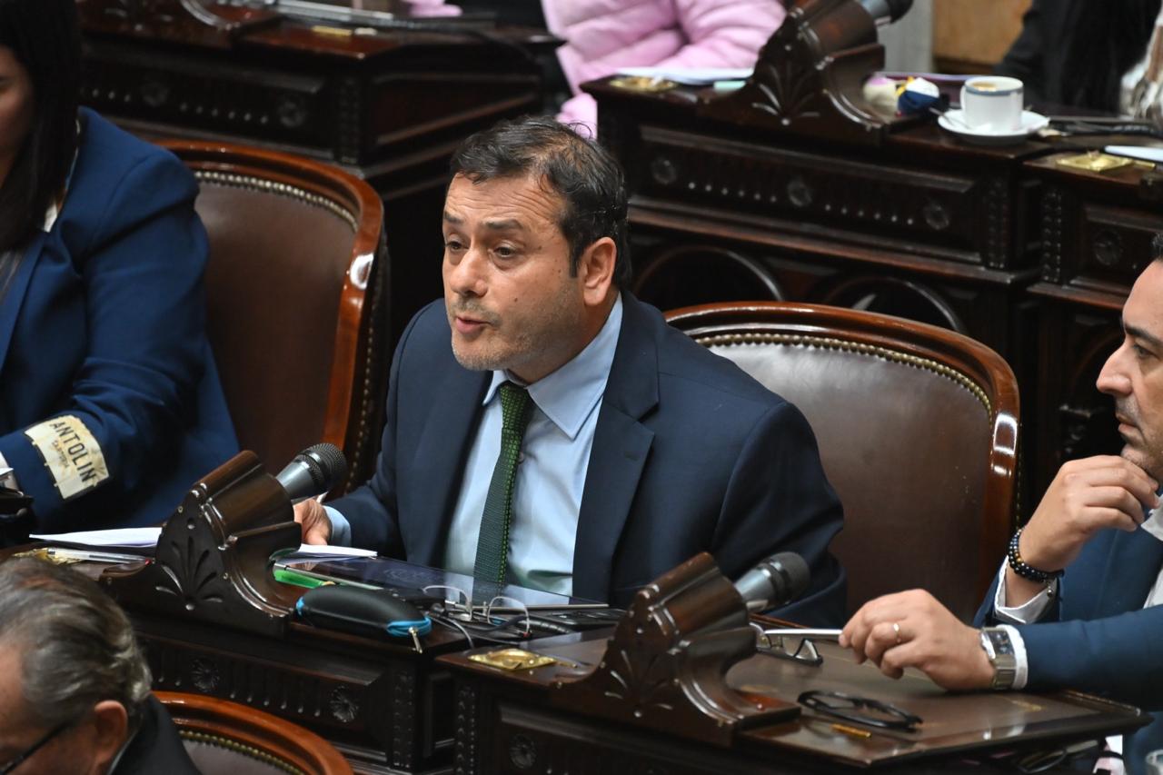 Herrera Ahuad, el articulador clave en Diputados: Misiones logró consensuar la nueva Ley de Discapacidad 2 4 - herrera sesion discapacidad2 - 3