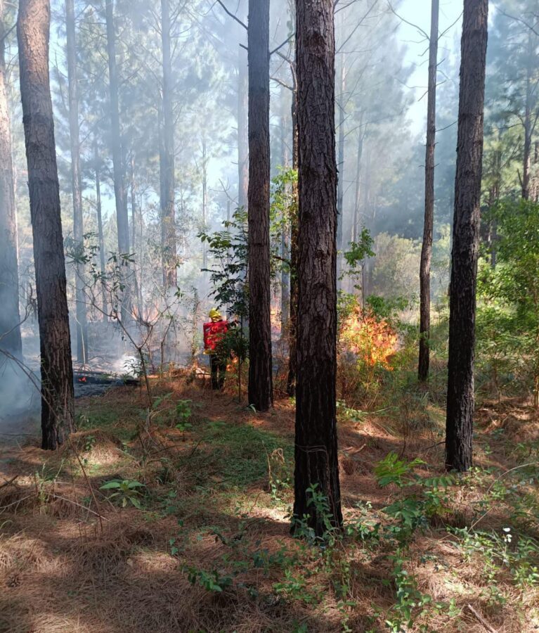 incendio santa ana - 1