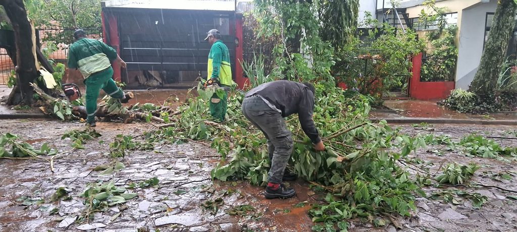 Tras el temporal, despliegan cuadrillas para despejar calles y evaluar daños en Posadas 1 2 - muni 1 - 1