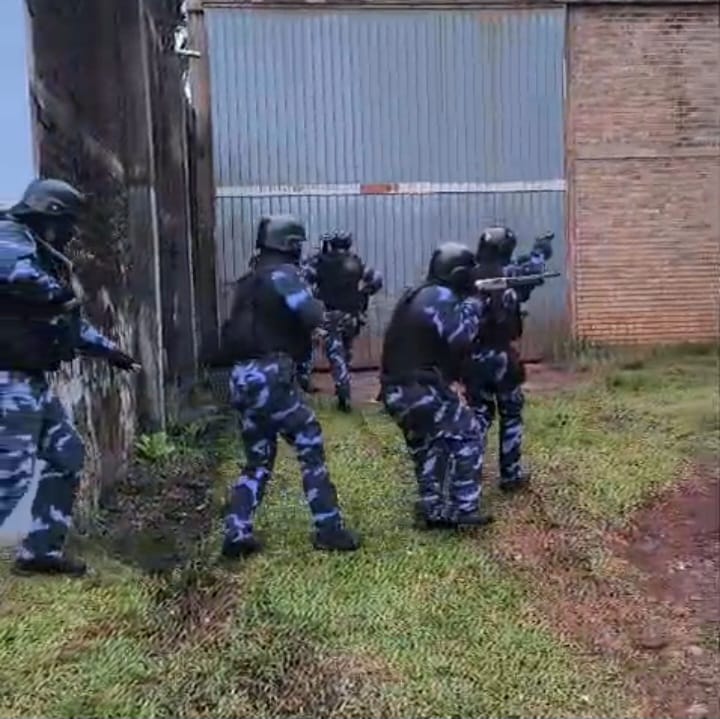 Un cargamento de dos toneladas de marihuana destapó una red narco entre Misiones y Buenos Aires 3 6 - narcotrafico 7 - 5