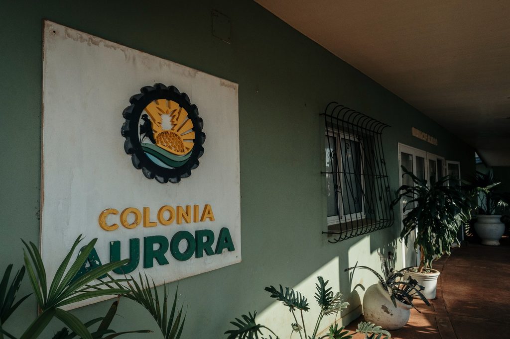 Passalacqua recorrió una obra hídrica que beneficiará a más de 100 familias en Colonia Aurora 9 18 - passalacqua aurora 5 - 17