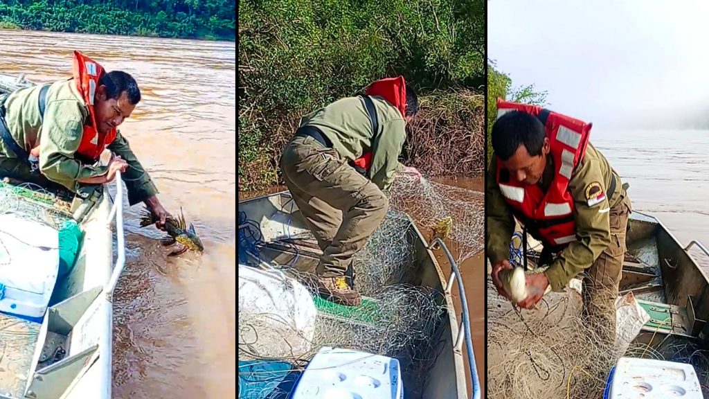 Secuestraron 70 redes de pesca ilegal durante controles en el río Uruguay 1 2 - pesca 2 - 1