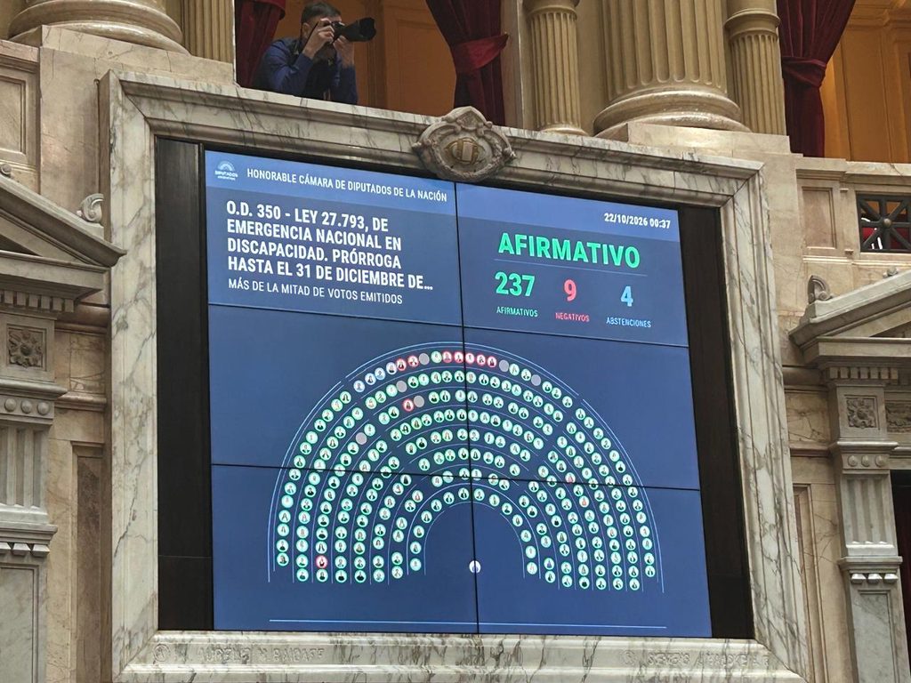 Herrera Ahuad, el articulador clave en Diputados: Misiones logró consensuar la nueva Ley de Discapacidad 1 2 - votacion discapacidad - 1